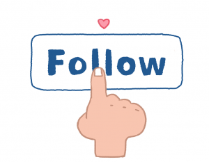 follower ảo