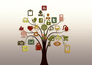 tối ưu facebook ads