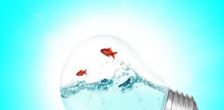 Đánh giá các chỉ số khi chạy quảng cáo thiết bị chiếu sáng