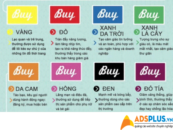 thiết kế website 01