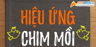 Khám phá hiệu ứng chim mồi trong chiến lược kinh doanh hiện nay Hiệu ứng chim mồi 02