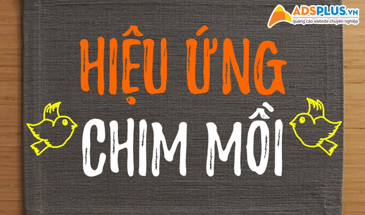 Hiệu ứng chim mồi 02