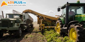 Khám phá top những ý tưởng khởi nghiệp nông nghiệp hiệu quả Khởi nghiệp nông nghiệp