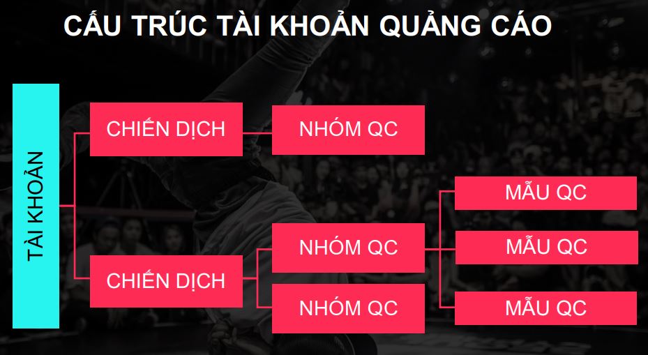 Cấu trúc tài khoản quảng cáo TikTok Ads