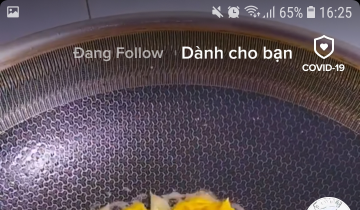 Cách quay cùng người khác trên TikTok (Duet TikTok) cách quay duet trên TikTok