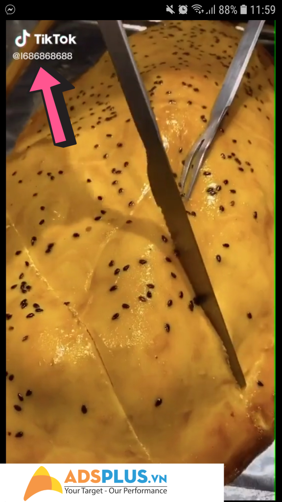 ID TikTok