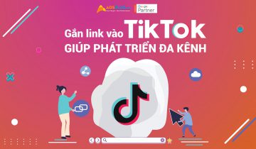 Gắn link vào TikTok giúp phát triển đa kênh Gắn link vào TikTok giúp phát triển đa kênh