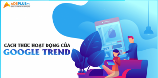 Bật mí cho bạn cách thức hoạt động của Google Trends Google Trend (Google xu hướng)