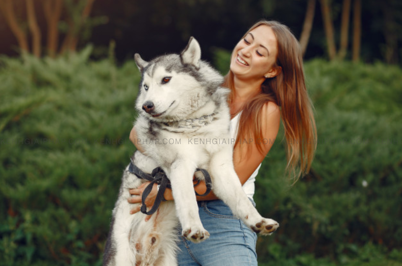 Người trông nom thú cưng - 9 ý tưởng kinh doanh tại nhà ít vốn ai cũng làm được
