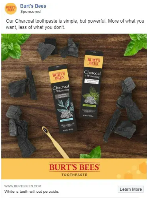 Burt's Bees 