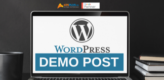Cách viết demo post cho website wordpress wordpress-demo-post
