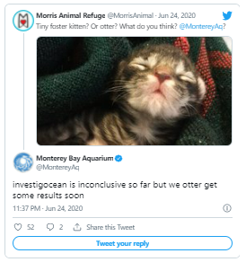 organic reach