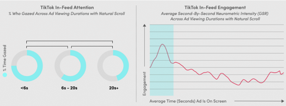 tiktok ads