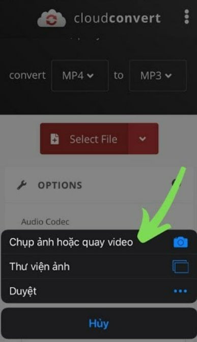nhạc chuông tiktok