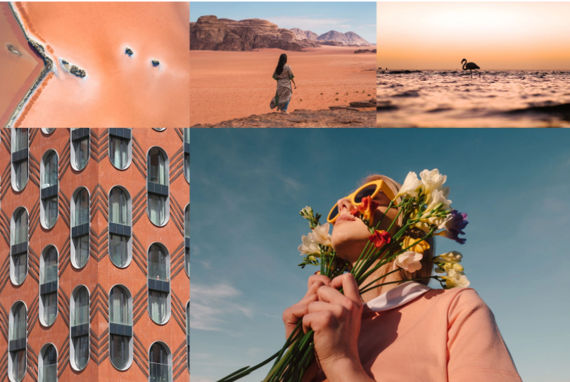 color trends 2022