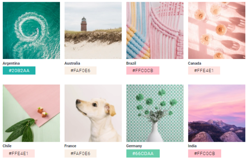 color trends 2022