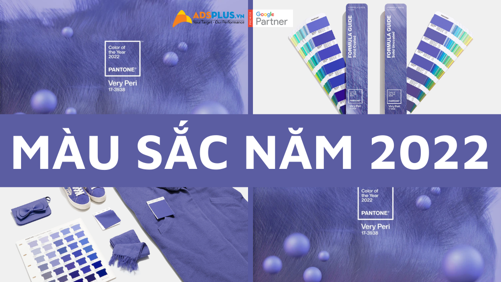 màu sắc năm 2022