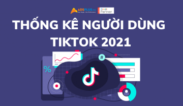 thống kê người dùng tiktok 2021