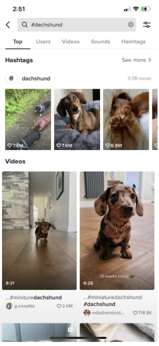 tiktok analytics