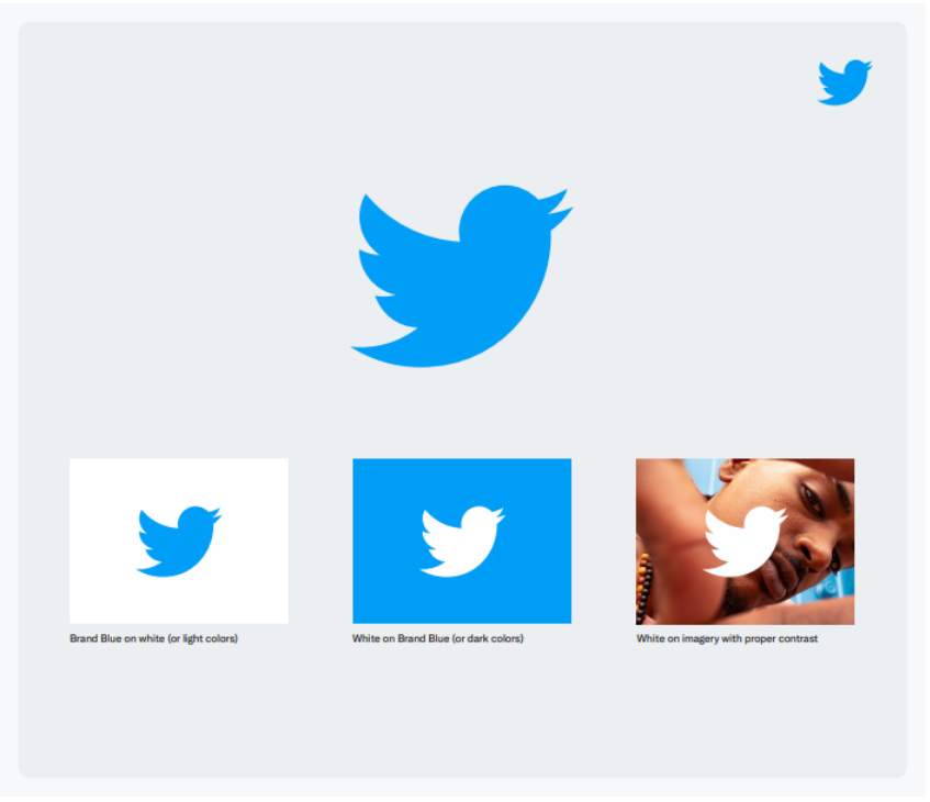 social media guide