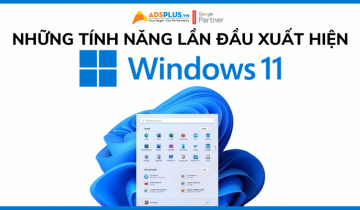 windows 11