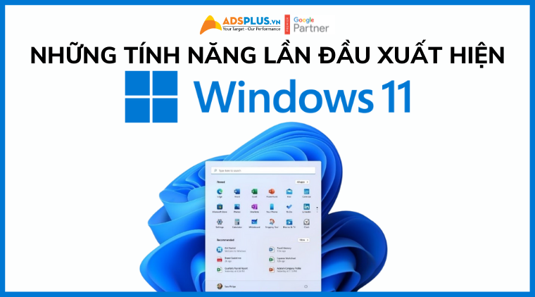 windows 11