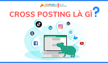 Cross posting là gì? Hướng dẫn cross posting lên các mạng xã hội cross posting