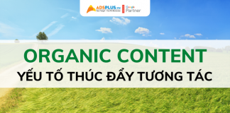 4 loại organic content mà bạn cần biết để thúc đẩy tương tác organic content