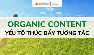 4 loại organic content mà bạn cần biết để thúc đẩy tương tác organic content
