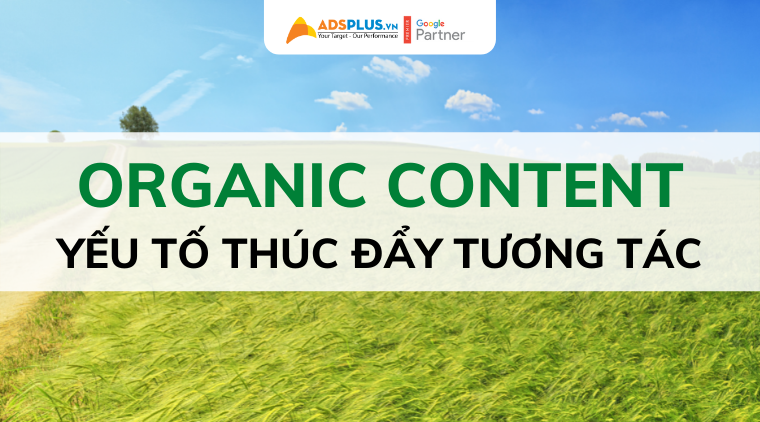 organic content