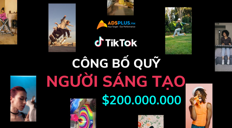 quy tiktok creator