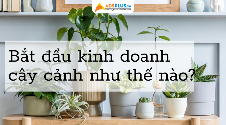 buôn bán cây cảnh