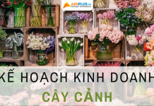 Lập kế hoạch kinh doanh cây cảnh hoàn chỉnh giúp thu hồi vốn kế hoạch kinh doanh cây cảnh
