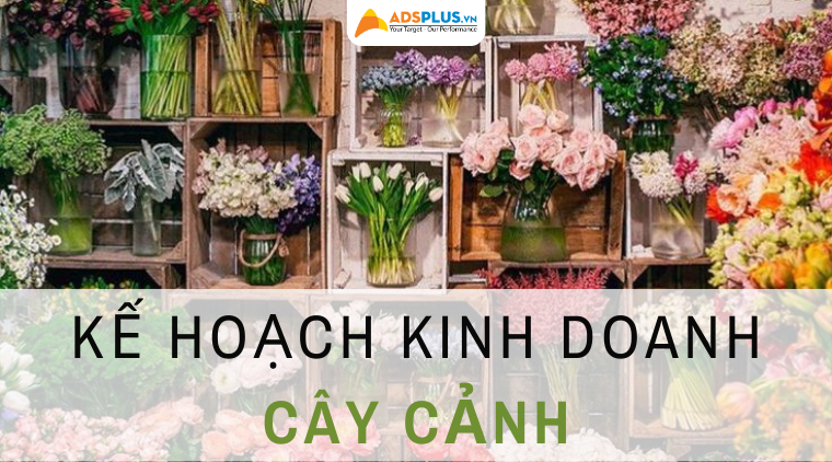 kế hoạch kinh doanh cây cảnh