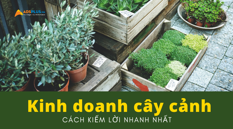 kinh doanh cây cảnh