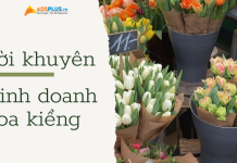 Lời khuyên đến từ những nhà kinh doanh hoa kiểng kinh doanh hoa kiểng