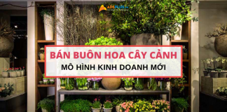 bán buôn hoa cây cảnh