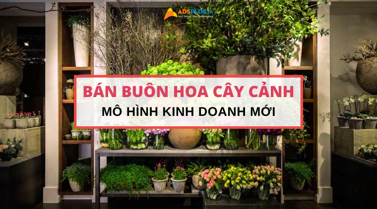 bán buôn hoa cây cảnh