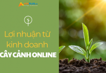 Kiếm tiền từ việc bán cây cảnh online không hề khó bán cây cảnh online