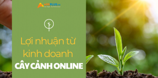 Kiếm tiền từ việc bán cây cảnh online không hề khó bán cây cảnh online