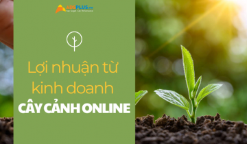 Kiếm tiền từ việc bán cây cảnh online không hề khó bán cây cảnh online
