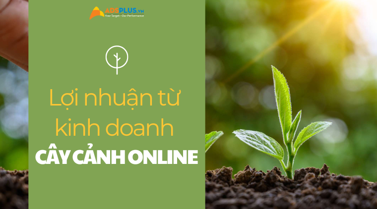 bán cây cảnh online