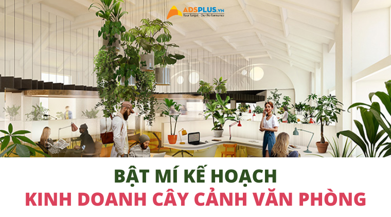 kinh doanh cây cảnh văn phòng