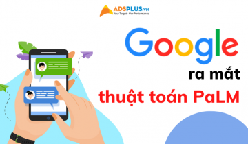 thuật toán palm của google