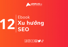 xu hướng seo 2022