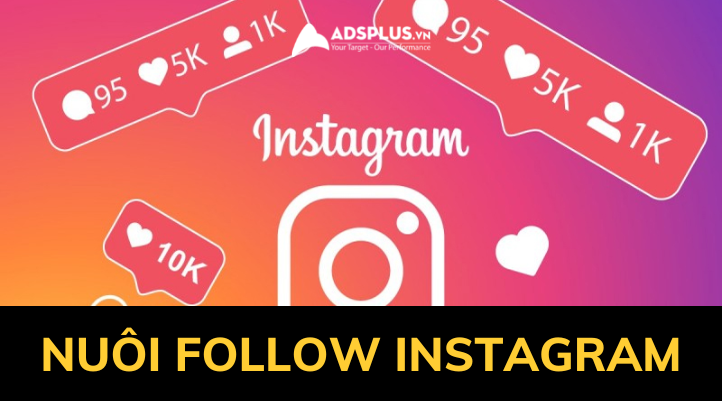 nuôi follow instagram