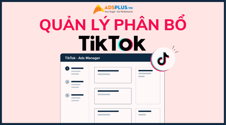 tiktok quản lý phân bổ