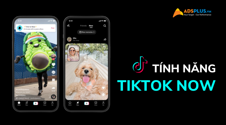 tính năng tiktok now