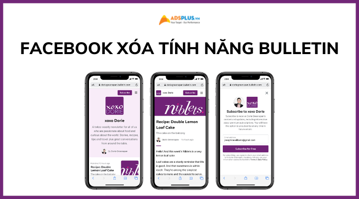 thuật toán khám phá meta