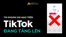 tiktok tài khoản giả mạo